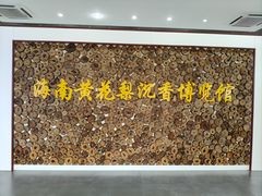 -呀诺达热带雨林