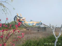 -太阳部落