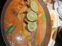 -佬肥猫(七宝宝龙店)