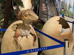 -湖南省地质博物馆