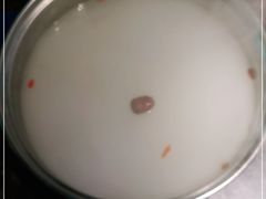 -阪尚皇·原切牛排·烤肉火锅自助(北京路店)