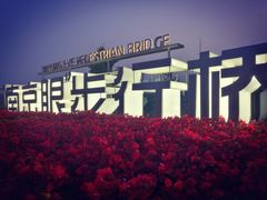 -南京眼步行桥