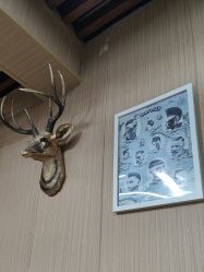 -纯剪男士理发馆·烫染专业店
