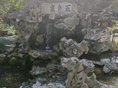 -上海醉白池公园