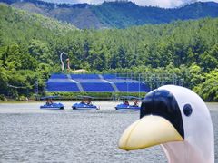-佛冈森波拉度假区