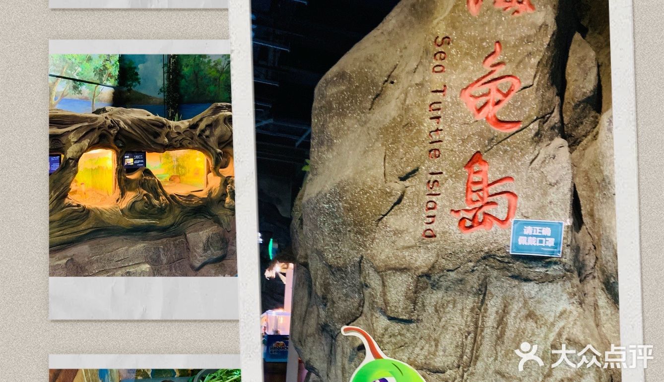 #济南周边游#在海边,是游而不是游泳