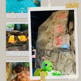 #济南周边游#在海边,是游而不是游泳