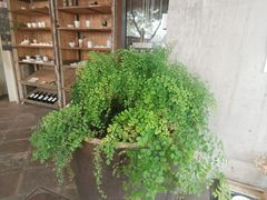 -無用生活空间(北京店)