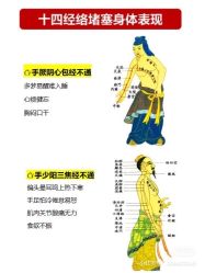 -香薇妮丝女子减肥院