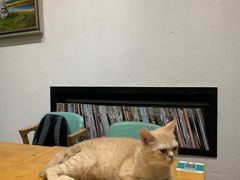 -猫色咖啡·猫咖