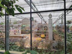 -南宫五洲植物乐园