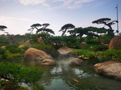 -罗红摄影艺术馆