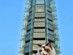 -大报恩寺遗址景区
