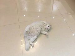 -党公糖水铺(鹭江店)