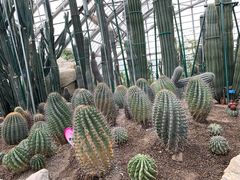 -南山植物园
