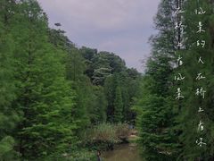 -云溪植物园