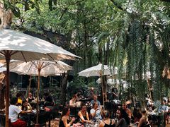 -Fern Forest Cafe