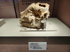 -咸宁市博物馆