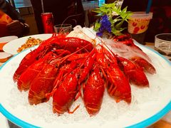 -杨氏青龙虾·羊蝎子(金盛路总店)