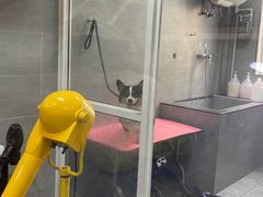 -宠福鑫康馨动物医院·骨科·眼科