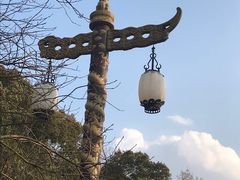 -宜兴龙背山森林公园