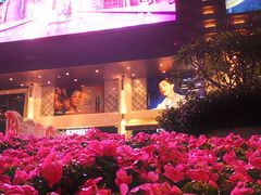 -大洋晶典(东街店)