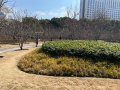 -人民公园-相亲角