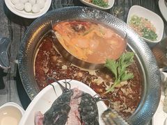 -老船舫·现做活鲜鱼馆(东郊记忆店)