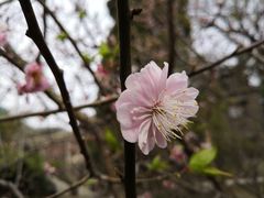 -香山公园