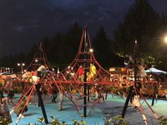 -迪士尼乐园停车场