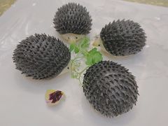 -誉珑轩