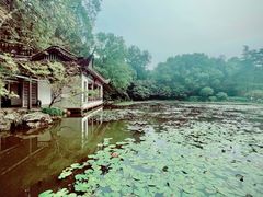 -杭州植物园