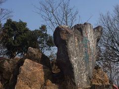 -惠山国家森林公园