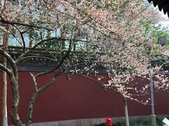-钱王祠
