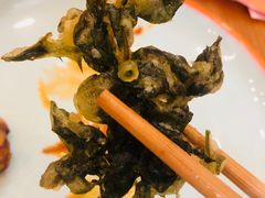 -向外鱼乐·土菜·虹鳟鱼
