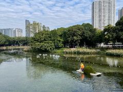 -荔湾湖公园