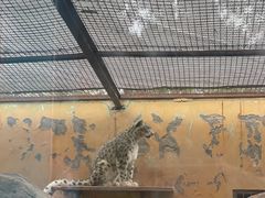 -青藏高原野生动物园