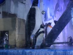 -多彩贵州城极地海洋世界