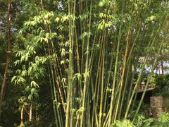 -湖泉半山温泉
