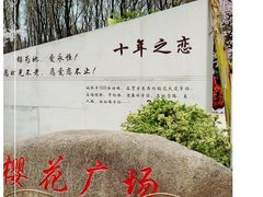 -顾村公园
