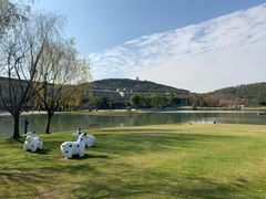 -上海佘山世茂艾美酒店
