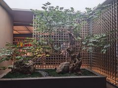 -船歌·鱼水饺青岛菜(闽江二路店)