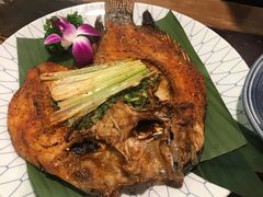 -紫滇源云南生态菜(丹凤街店)