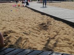 -大兴滨河森林公园