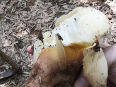 -众神白水涧景区