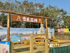 -盈香心动乐园