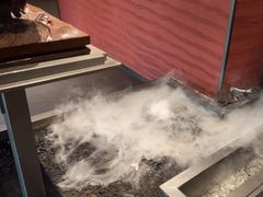 -沈灶河豚宴·河豚融合餐厅(汉中路店)