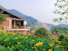 -远山有窑