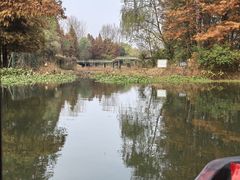 -溱湖国家湿地公园