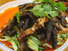 泡椒猪蹄凤爪-长青菠菜面·烧烤